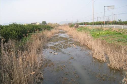 河道淤积